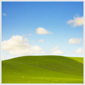 What to do about Windows XP