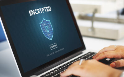 Is Full-Disk Encryption Really Necessary?