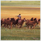 Socialmedia july17 a